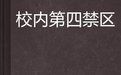 《校園第四禁區》
