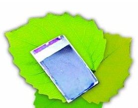 人工樹葉 人工樹葉