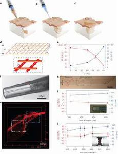 柔性電路 柔性電路