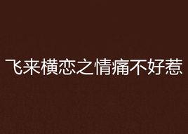 飛來橫戀之情痛不好惹 飛來橫戀之情痛不好惹