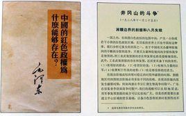 政治問題和邊界黨的任務