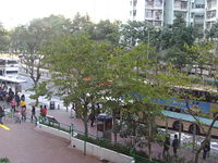 （圖）百和路其中一段日景