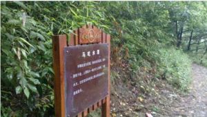 瞻岐大嶺古道 瞻岐大嶺古道