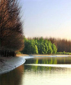 深圳紅樹林