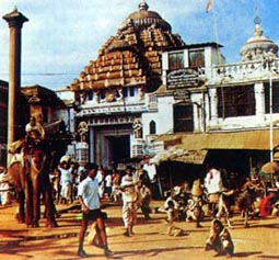 《女人三步曲》 《女人三步曲》