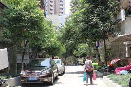 南寧望州南社區 南寧望州南社區