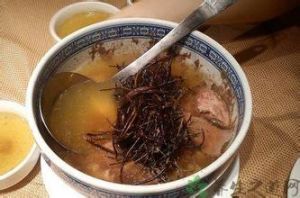 清膽利濕湯 清膽利濕湯