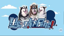 出發吧,鏟屎官! 出發吧,鏟屎官!