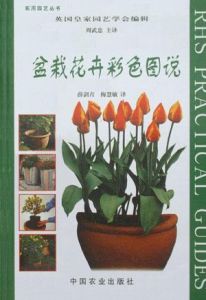 盆栽花卉彩色圖說 盆栽花卉彩色圖說
