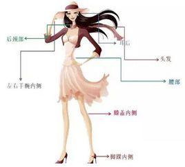 香水使用的部位 香水使用的部位