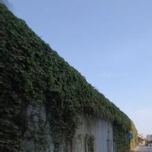 西便門社區 西便門社區