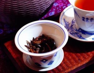 林內坪頂茶 林內坪頂茶