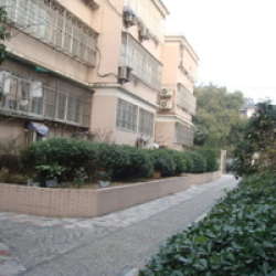 北京東路小區 北京東路小區