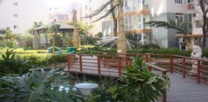 德瀛華府華盛頓森林 德瀛華府華盛頓森林