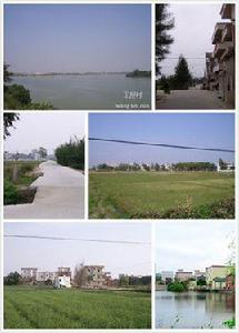 王屋村[廣東省韶關樂昌市廊田鎮下轄村]