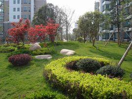 龍居山莊 龍居山莊