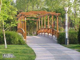 上海閔行公園 上海閔行公園