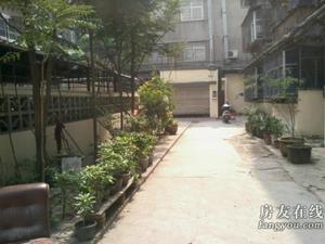 河南省政法管理幹部學院家屬院政七街 河南省政法管理幹部學院家屬院政七街