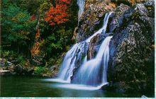 龍潭國家森林公園