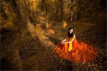 大漠胡楊林  舞動的精靈