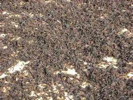 蕭山霉乾菜 蕭山霉乾菜