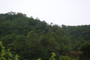 那壯自然村 那壯自然村