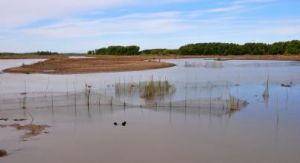 小穆稜河 小穆稜河
