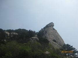 麻城十怪 麻城十怪