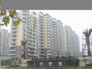 龍德番茄花園 龍德番茄花園