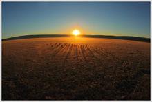 絕美！實拍壯麗的納米布沙漠