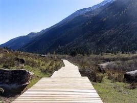 防腐木棧道 防腐木棧道