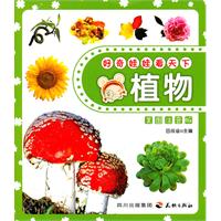 好奇娃娃看天下植物 好奇娃娃看天下植物