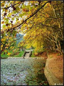 貴州省植物園 貴州省植物園