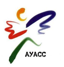 亞洲青年動漫大賽 亞洲青年動漫大賽