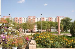 新疆生產建設兵團農一師一團(金銀川鎮)