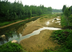 平原林海自駕游 平原林海自駕游