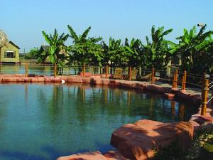 （圖）環保度假