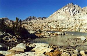 金斯峽谷國家公園