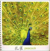 我的第一本早教塑膠書&middot;成長啟蒙童話