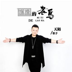 迷途的老馬 迷途的老馬