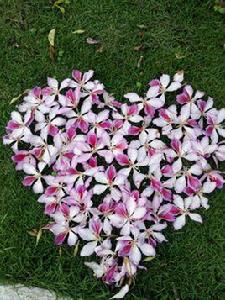 滿滿愛意 滿滿愛意