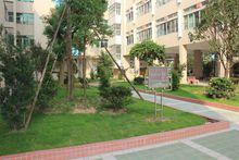 東莞市茶山譽華學校