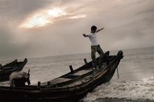 無根文化 無根文化