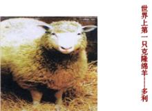 第三次技術革命