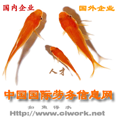 中國國際勞務信息網 中國國際勞務信息網