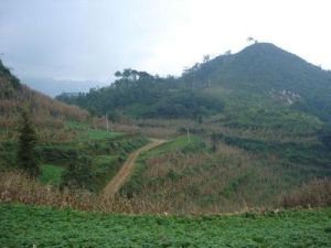 石洞自然村 石洞自然村