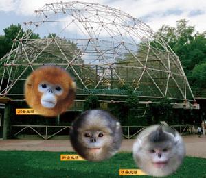 北京動物園金絲猴館
