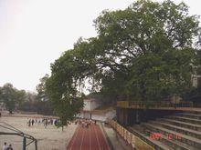 重慶市長生橋中學操場