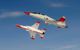 T-38A“禽爪” T-38A“禽爪”