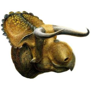 三角龍新型物種假想圖